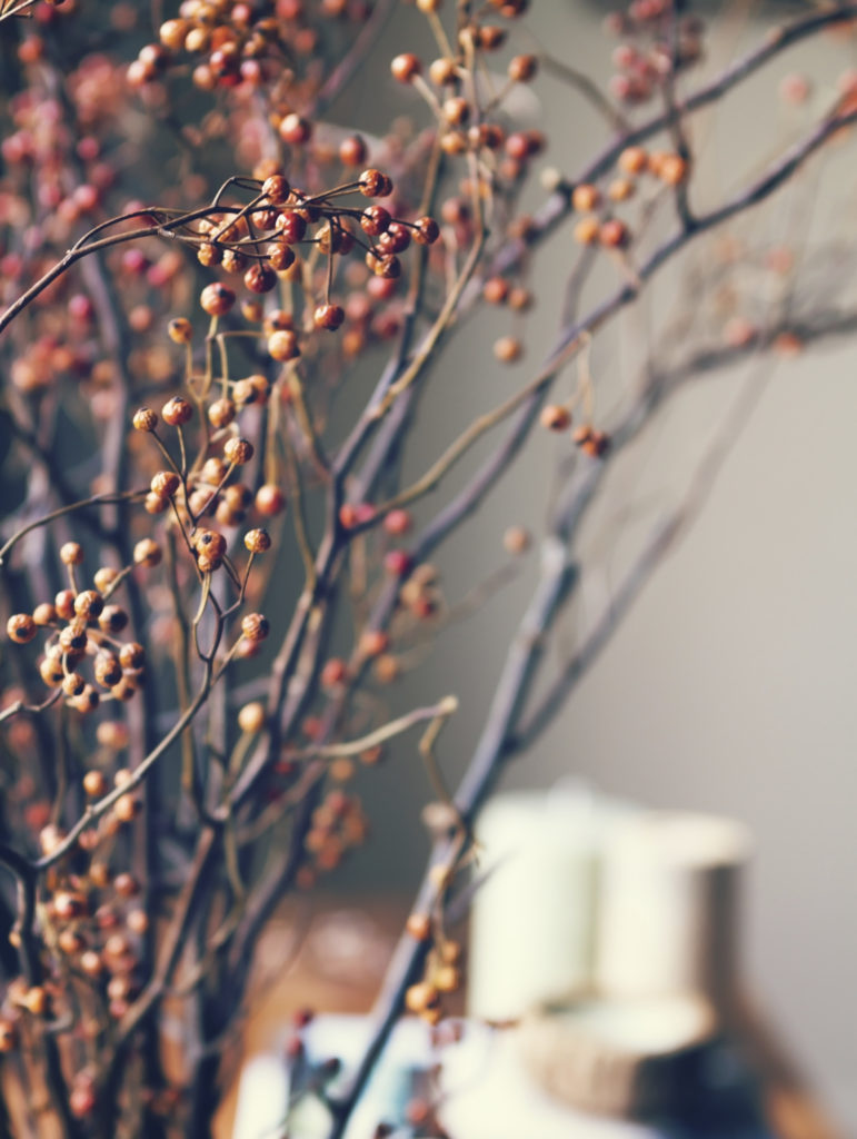 Close up of dried flowers in home interior setting Holiday decorating with berries